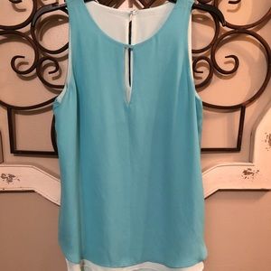 Blue Reversible Chiffon Blouse